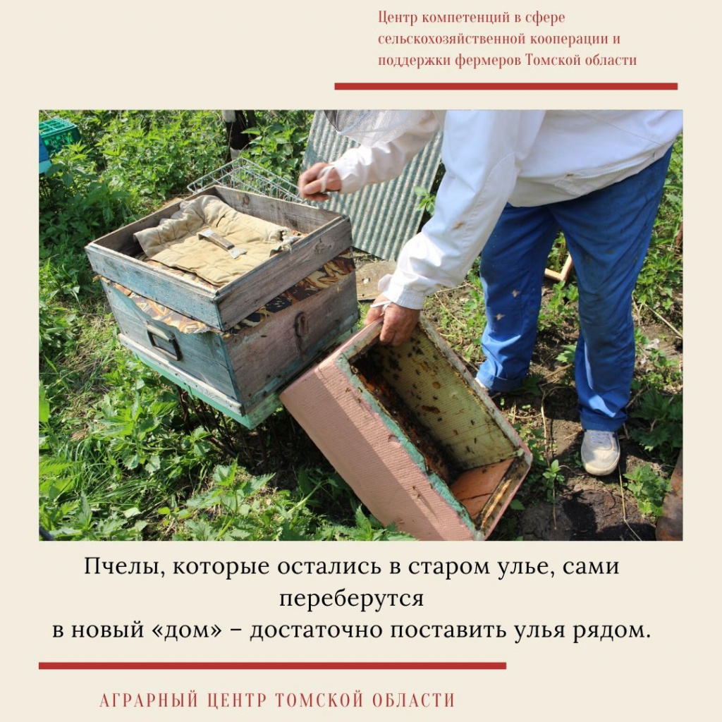 мастер-класс  7.jpg